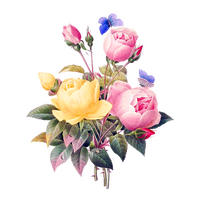 flowers-2919730_640