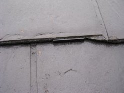21bbd341.jpg