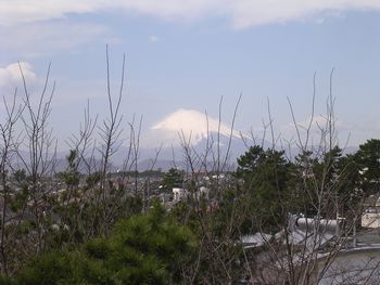 f1339f9e.jpg