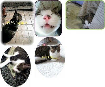 �ڥ����գ�