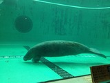 IMG_1195