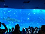 IMG_1182