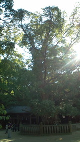 20101017145406