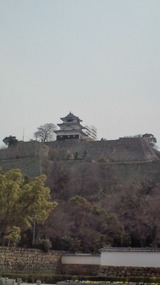 20110312113706