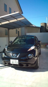 20101124105450