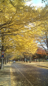 20111108114311
