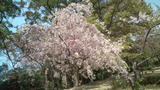 20110417115429
