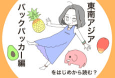 東南アジアバックパッカーパーツ用