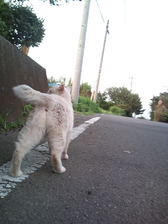 ゴメンよモモちゃん