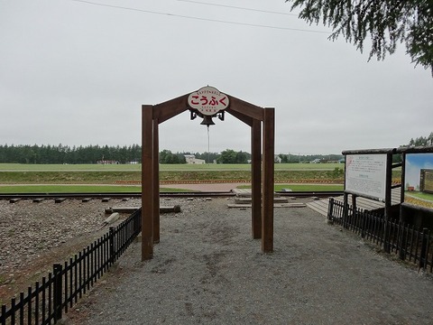 DSC02518
