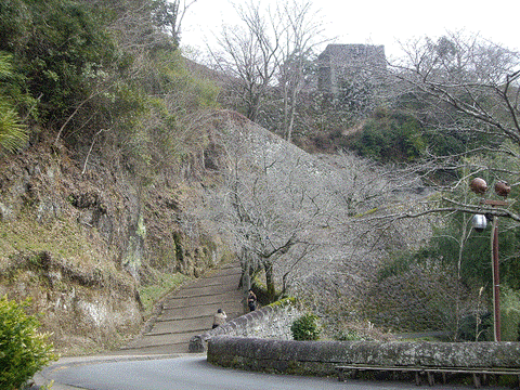 岡城1