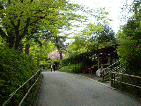 平泉2