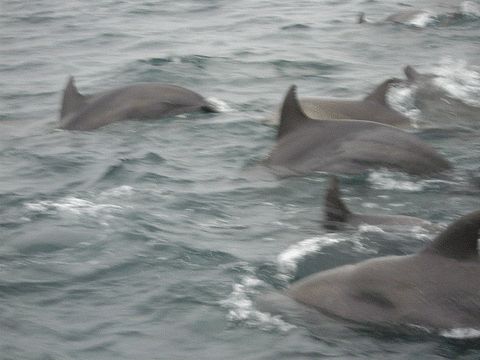 IMGP2895