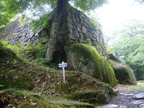 岩根城1