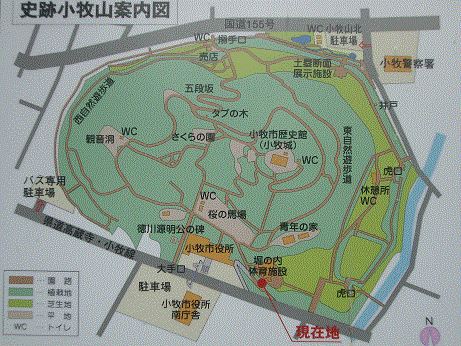 komaki1
