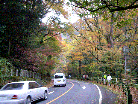 yabakei3