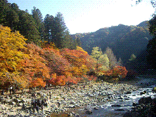 kourankoyo5