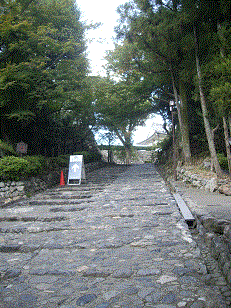 inuyama2