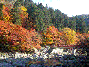 kourankoyo1