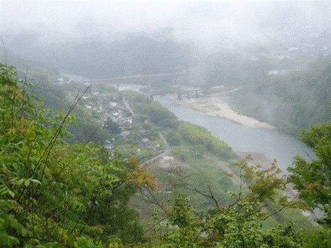 苗木城5