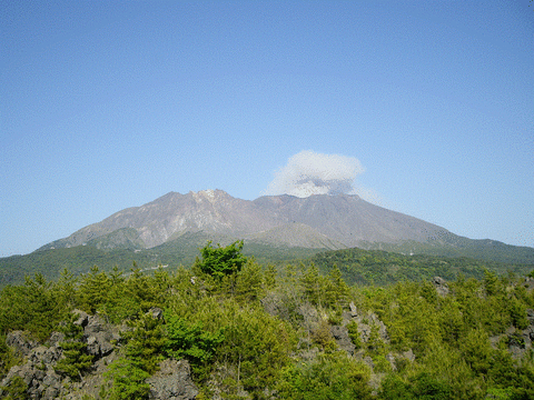 IMGP2865