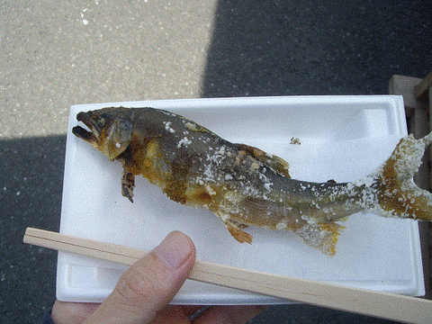 しまんと3