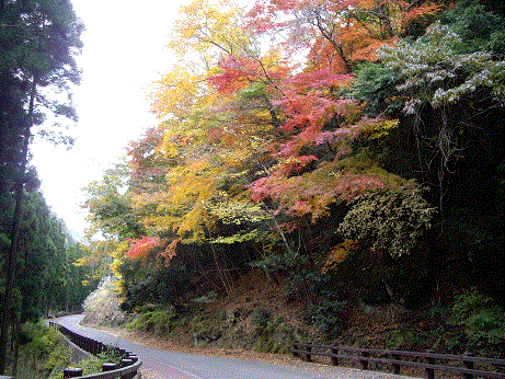 hikosan4