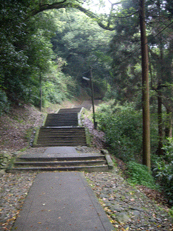 香川5