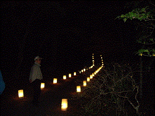 matsushima1