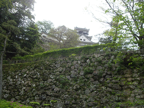 高知市4