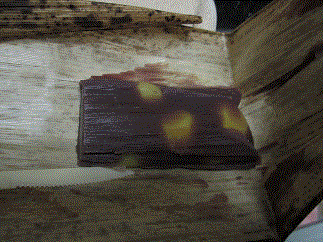 yokan1