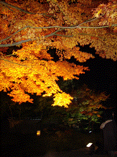 matsushima2