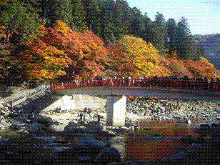 kourankoyo3