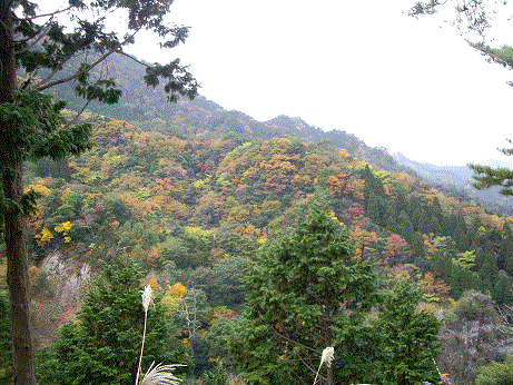 hikosan3