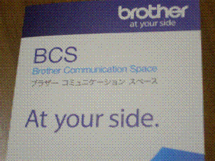 bro1