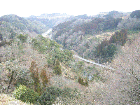 岡城4