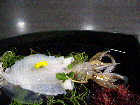 佐賀8