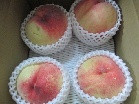 桃直売山梨