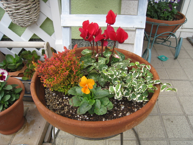 寄せ植え