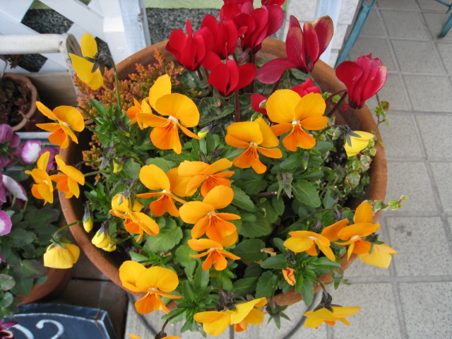 花3
