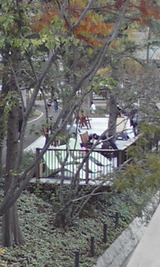 bb377829.jpg