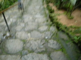 P1040036