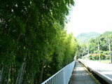 P1040015