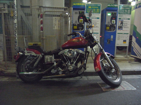 RIMG0316