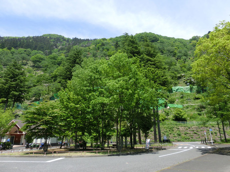 CIMG0376