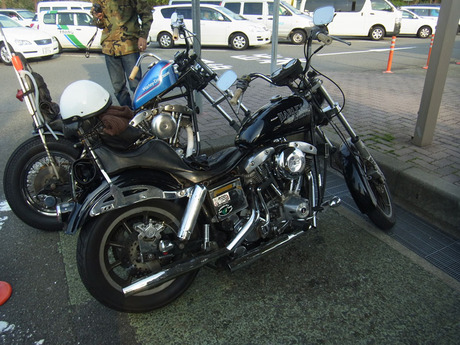 RIMG1247