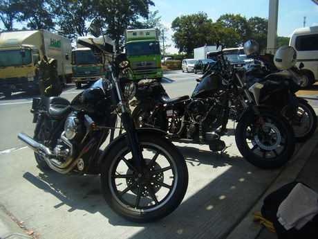 RIMG0342