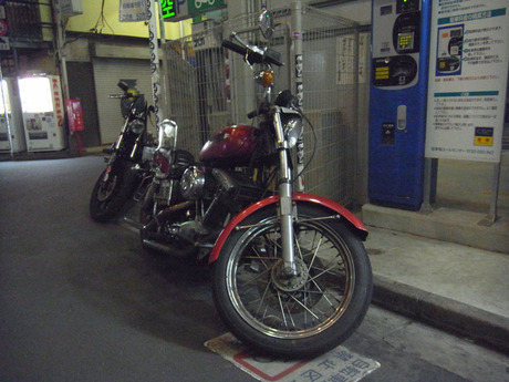 RIMG0317