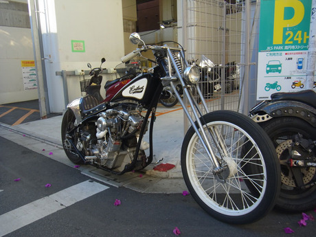 RIMG0612