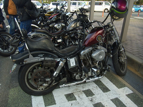 RIMG1251